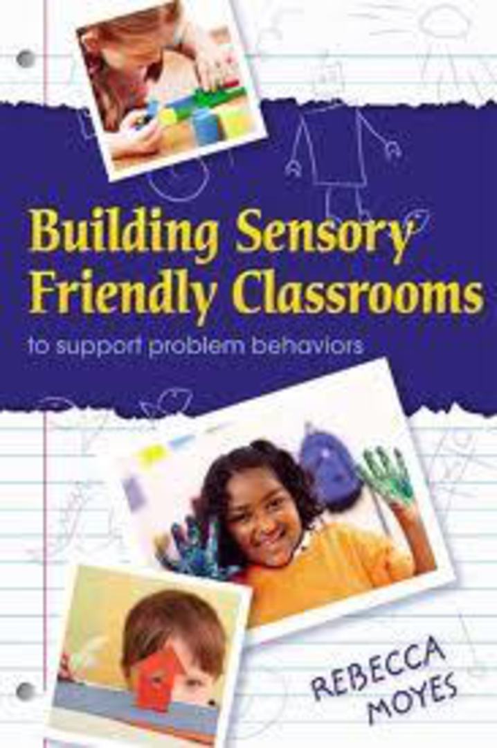 Building Sensory Friendly Classrooms image 0